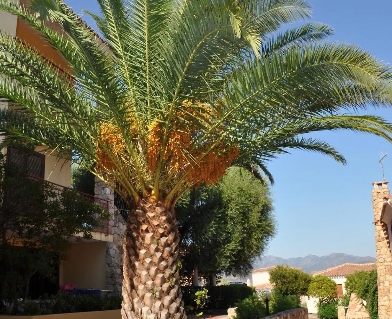 Borgo Le Logge Aparthotel Budoni