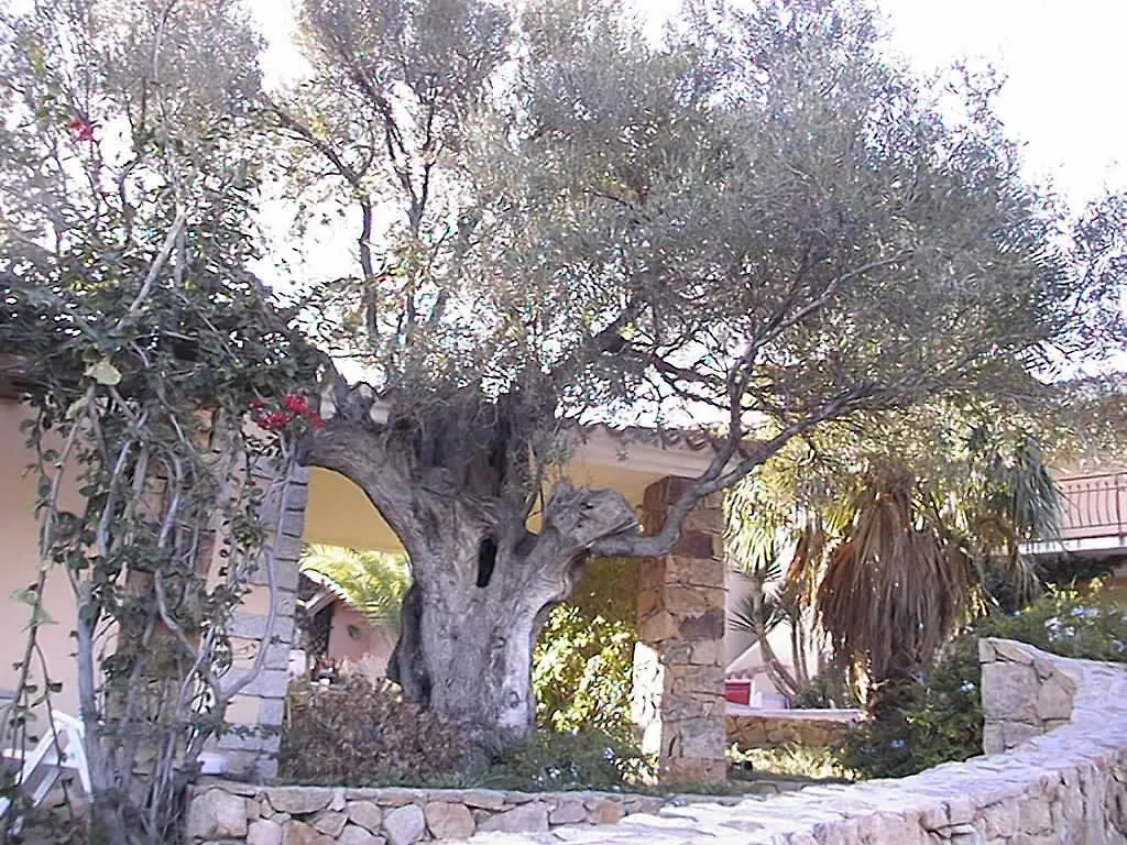 Aparthotel Borgo Le Logge Budoni 3*,  Italien